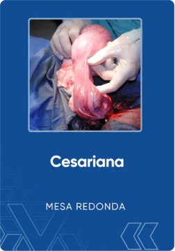 estatistica_o_que_e_e_para_que_serve_1x