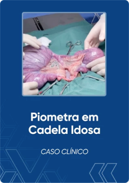 storytelling_com_dados_2_1x